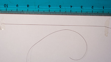 capelli.jpg